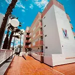 Valparaiso Flamingo
