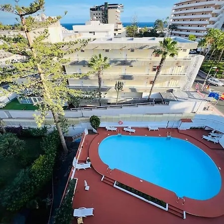 Valparaiso Flamingo * San Bartolome de Tirajana (Gran Canaria)