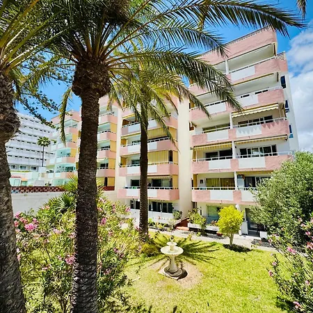 Valparaiso Flamingo San Bartolome de Tirajana (Gran Canaria)