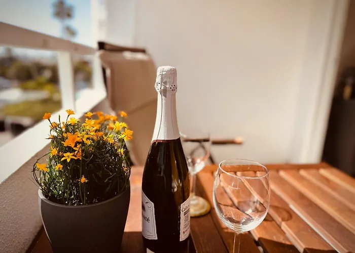 Valparaiso Flamingo *